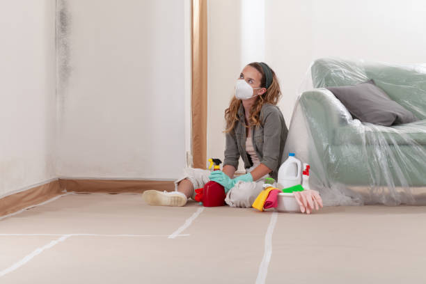 Reliable Mold Remediation contractor in Fort Collins, CO by 24 Hour Mold Removal